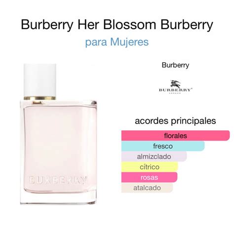 burberry her notas